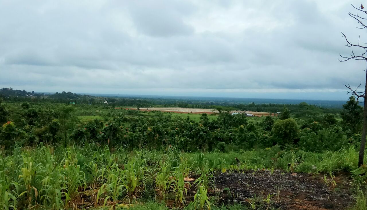 MINISTER SHYAMKUMAR CONCERNED OVER GARBAGE DUMPED ALONG INDO-MYANMAR BORDER