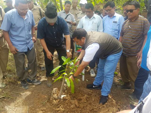 TREE SAPLINGS PLANTED DURING ‘VANAMAHOTSAVA’ WILL BE CHECKED: MINISTER SHYAMKUMAR