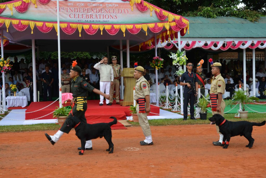 DSC_2668.JPG